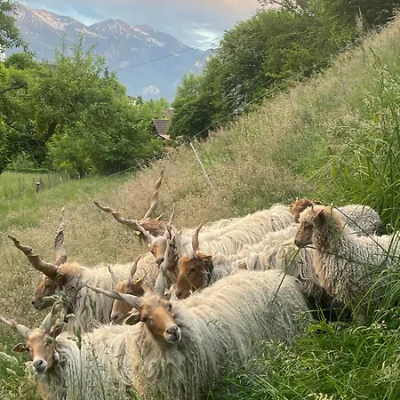 Kohlerenschlucht * Thun