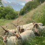 Kohlerenschlucht * Thun