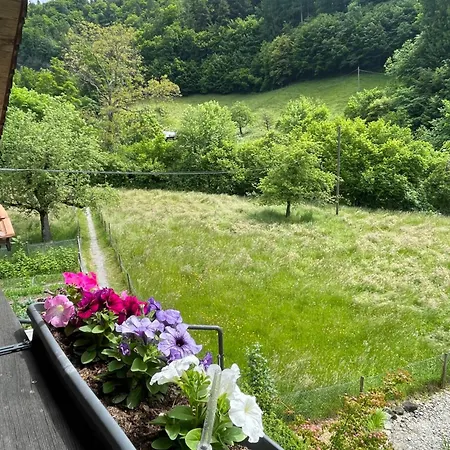 Kohlerenschlucht